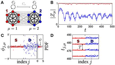Directed Flow of Information in Chimera States